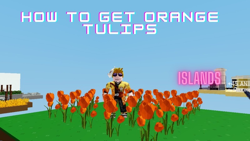 hat-giong-grow-a-garden-6