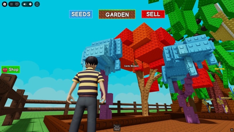 hat-giong-grow-a-garden-7