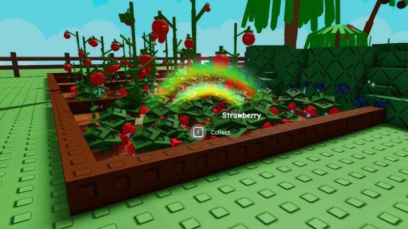 meo-choi-grow-a-garden-4