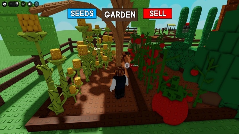 meo-choi-grow-a-garden-5