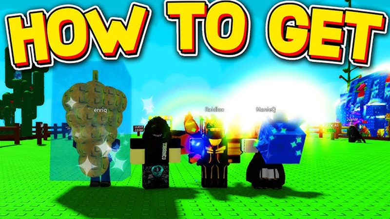 meo-choi-grow-a-garden-7