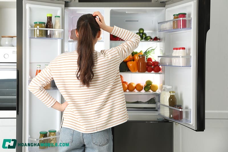 sua-tu-lanh-tai-nha-04