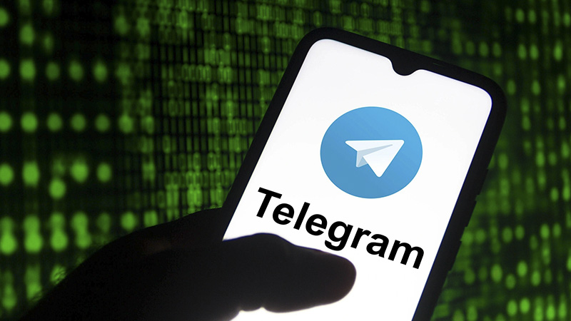 telegram-con-bi-cam-1