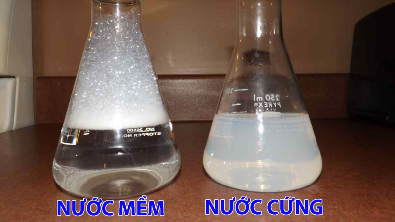 Hai-chat-duoc-dung-de-lam-mem-nuoc-cung-vinh-cuu-la-10