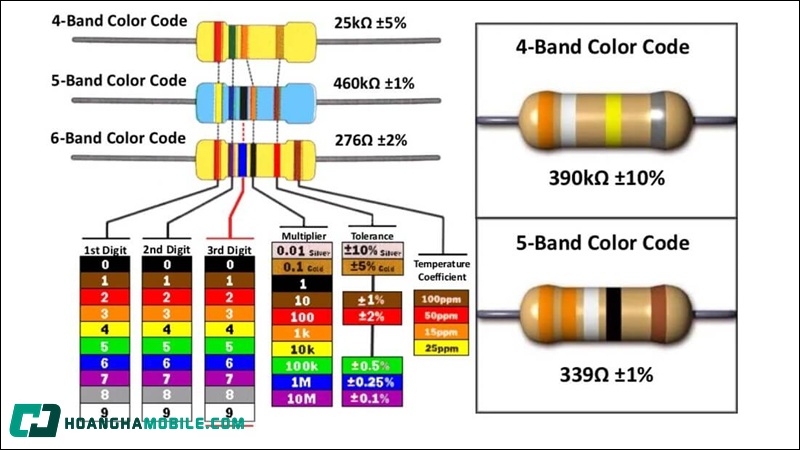 bang-mau-dien-tro-06