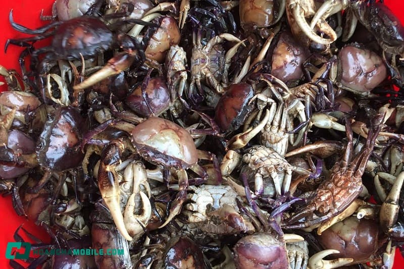 cach-nau-bun-rieu-cua-dong-02