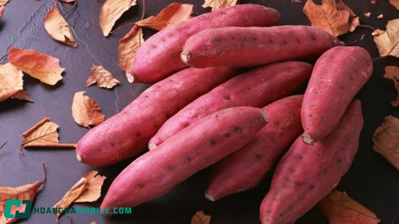 cach-nau-ca-ri-vit-13