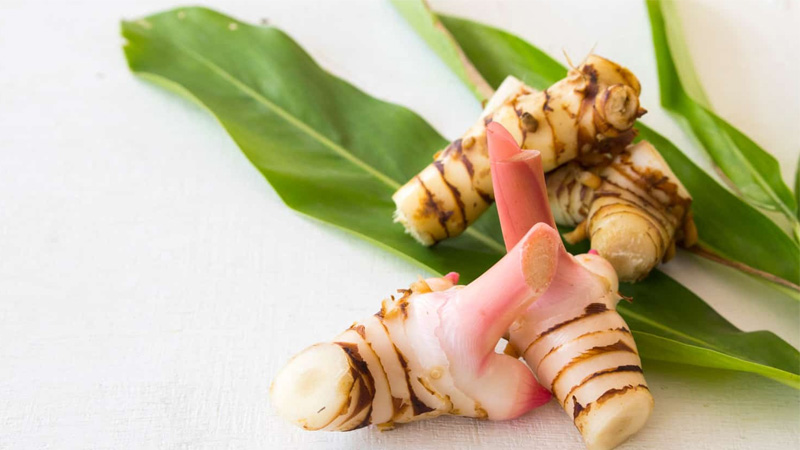 cach-nau-chan-gio-gia-cay-3