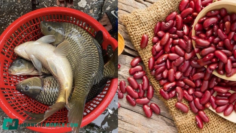 cach-nau-chao-ca-chep-1