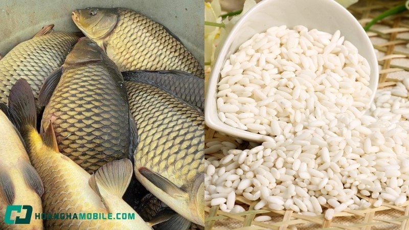 cach-nau-chao-ca-chep-16