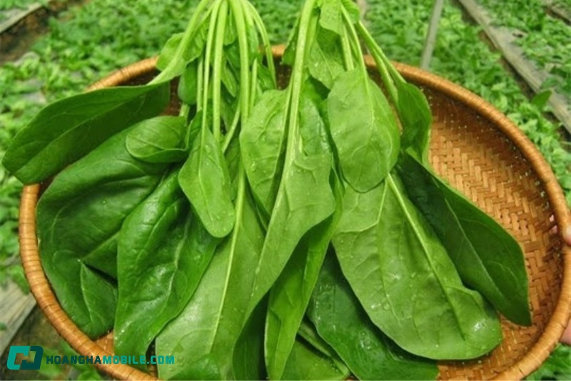 cach-nau-chao-ca-hoi-17