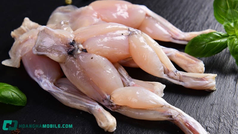 cach-nau-chao-ech-singapore-04