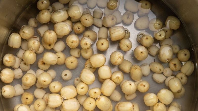 cach-nau-chao-thit-bam-2