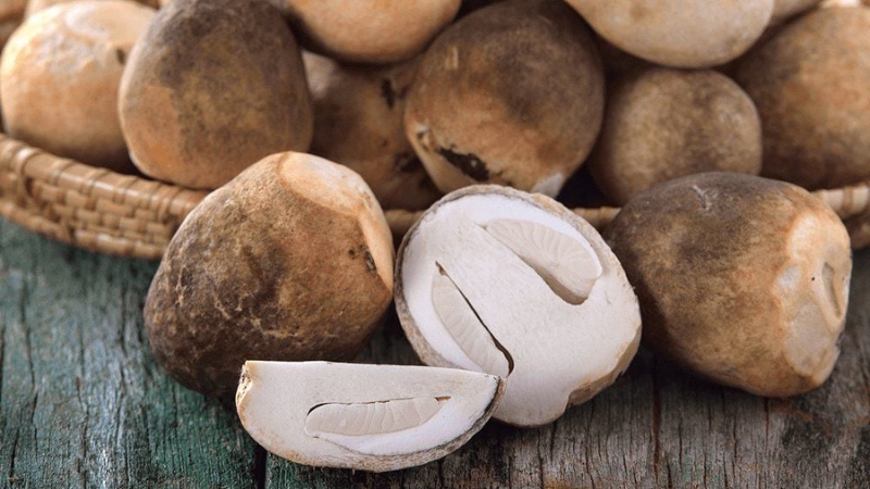 cach-nau-chao-thit-bam-4