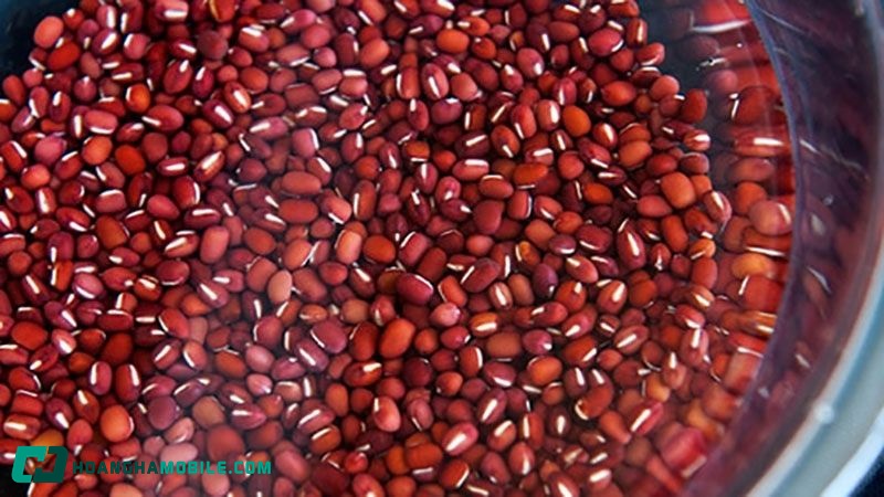 cach-nau-che-thap-cam-03