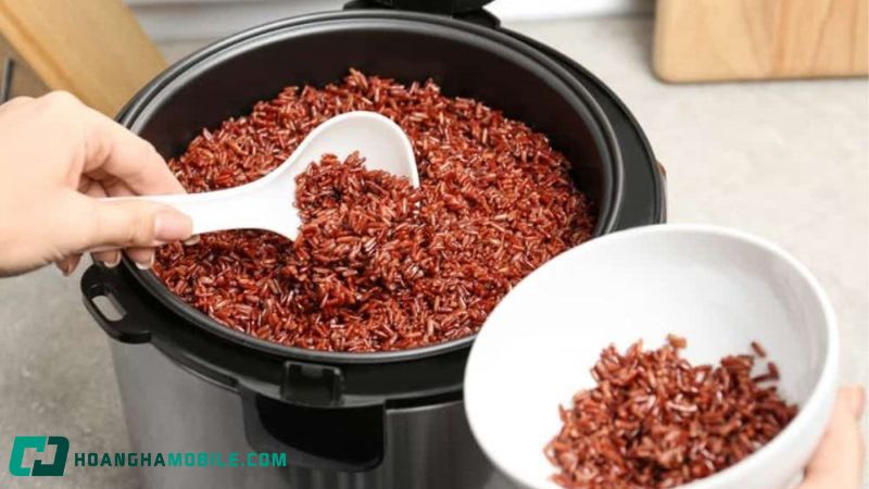 cach-nau-com-gao-lut-16