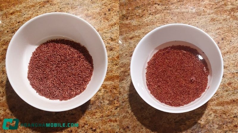 cach-nau-com-gao-lut-2