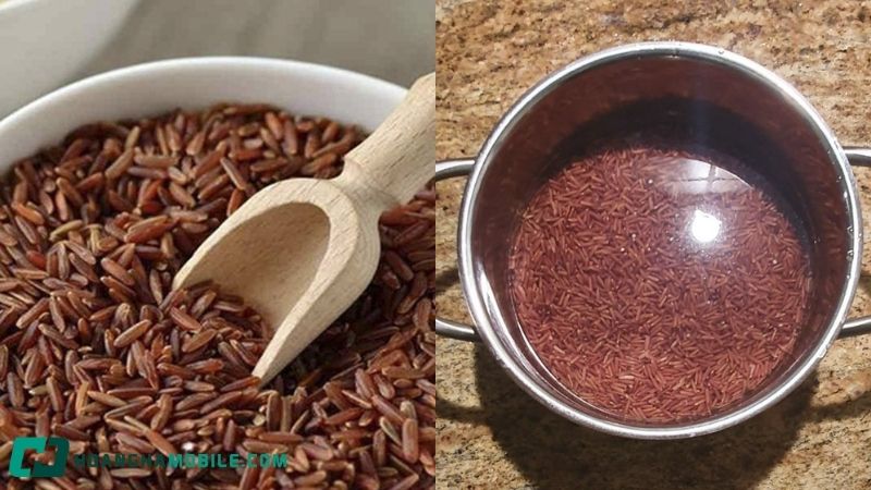 cach-nau-com-gao-lut-6