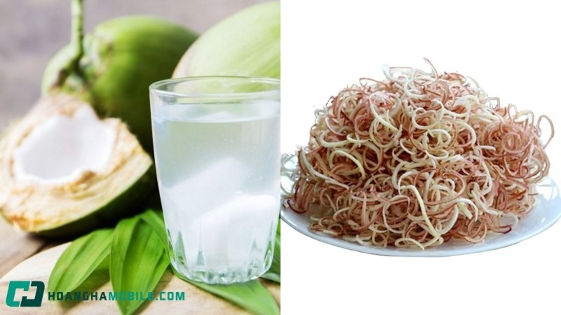 cach-nau-gia-cay-chan-gio-4