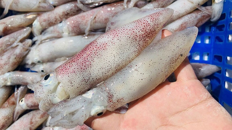 cach-nau-hu-tieu-muc-1