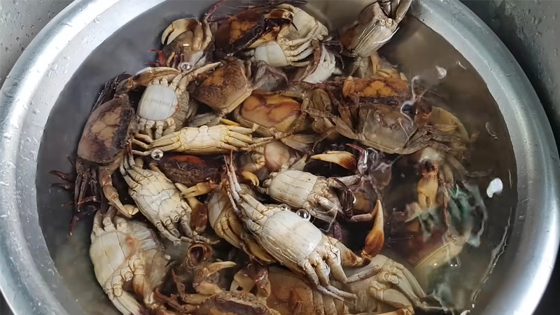 cach-nau-lau-cua-dong-1