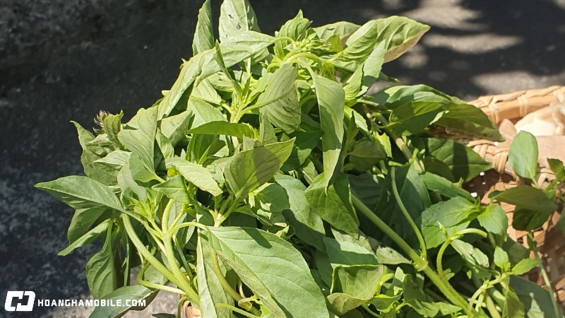 cach-nau-lau-ga-la-e-ngon-bo-duong-de-chieu-dai-le-tiec-gia-dinh-12