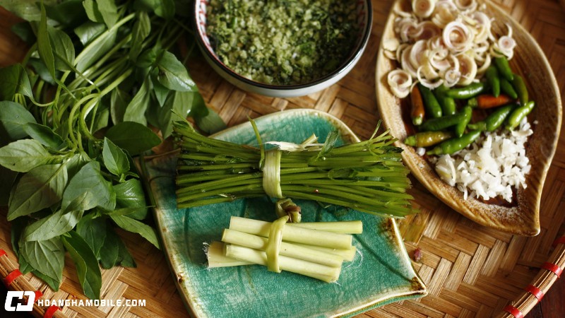 cach-nau-lau-ga-la-e-ngon-bo-duong-de-chieu-dai-le-tiec-gia-dinh-8