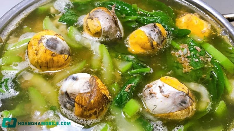 cach-nau-lau-hot-vit-lon-10