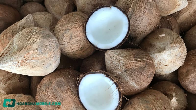 cach-nau-nuoc-cot-dua-01