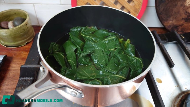 cach-nau-nuoc-la-sung-tuoi-6