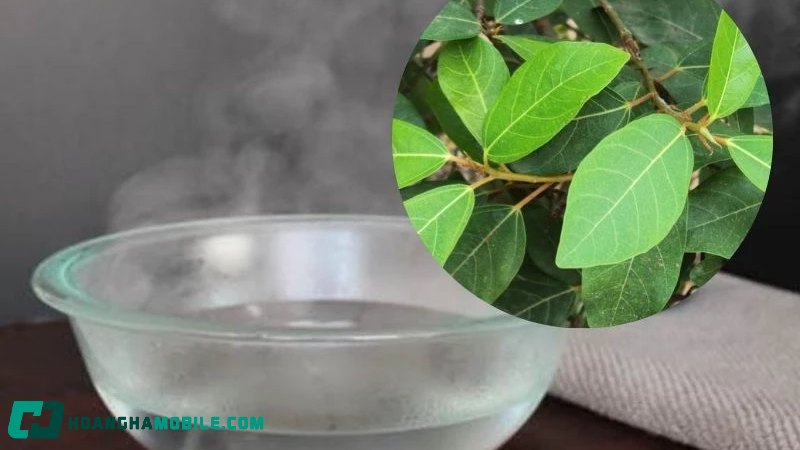 cach-nau-nuoc-la-sung-tuoi-9