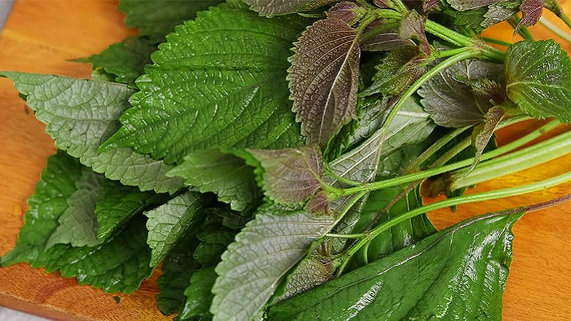 cach-nau-nuoc-la-tia-to-uong-dep-da-4