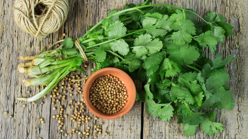 cach-nau-nuoc-ngo-ri-loc-than-1