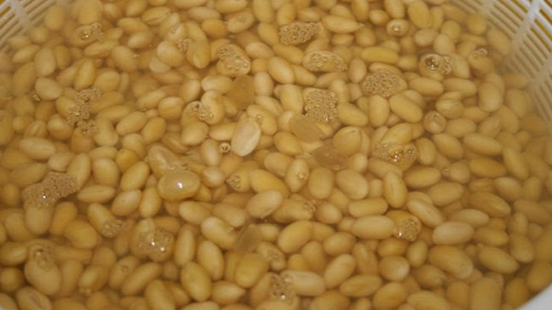 cach-nau-sua-dau-nanh-3