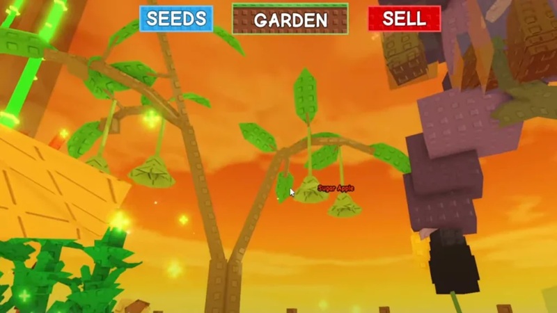 cach-nhan-sugar-apple