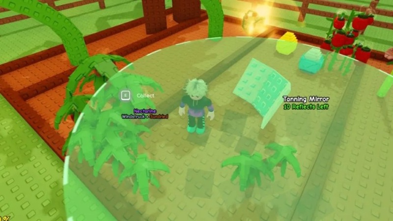 cach-nhan-tanning-mirror-2