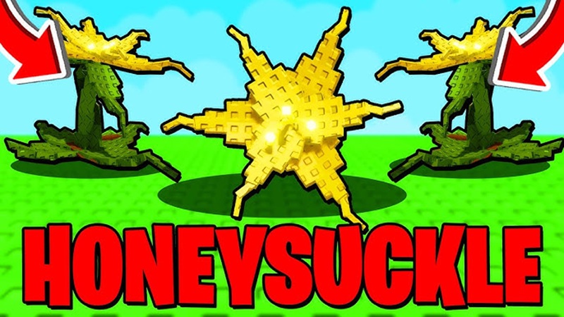 cach-san-honeysuckle-1