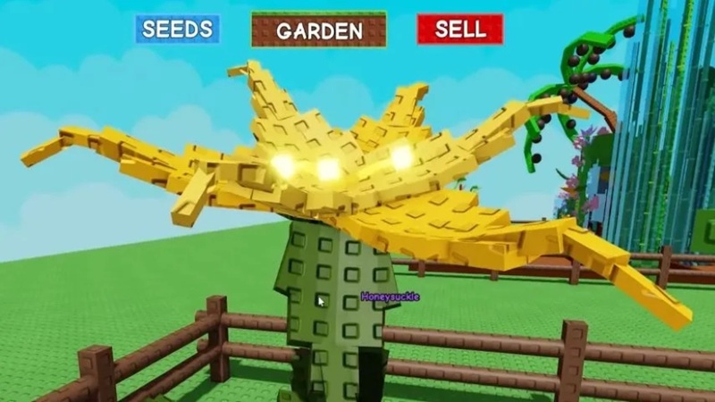 cach-san-honeysuckle-2