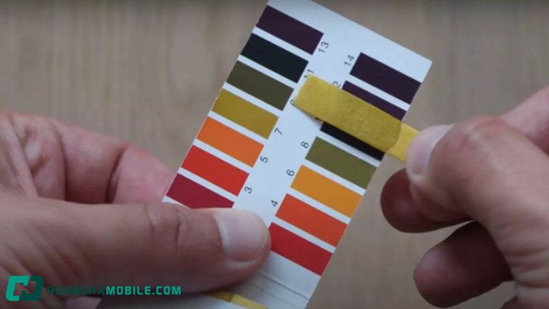 dung-dich-lam-quy-tim-chuyen-sang-mau-xanh-la-1