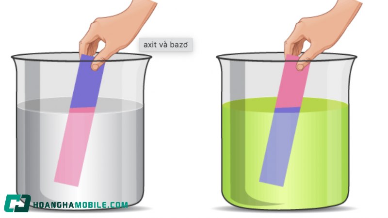 dung-dich-lam-quy-tim-chuyen-sang-mau-xanh-la-5