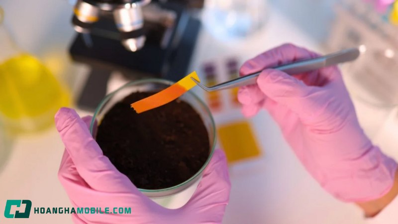 dung-dich-lam-quy-tim-chuyen-sang-mau-xanh-la-7