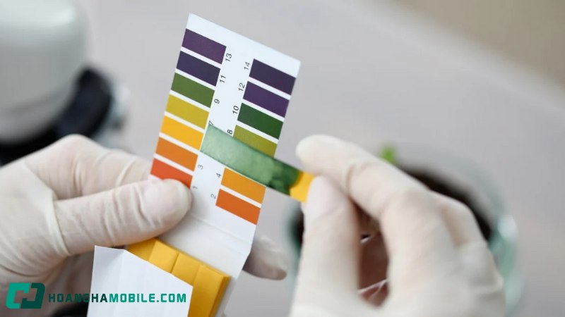 dung-dich-lam-quy-tim-chuyen-sang-mau-xanh-la-8