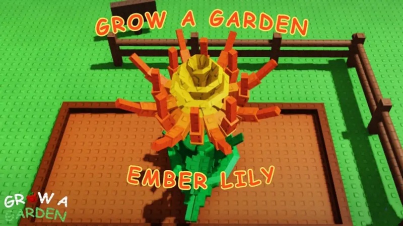 ember-lily-2