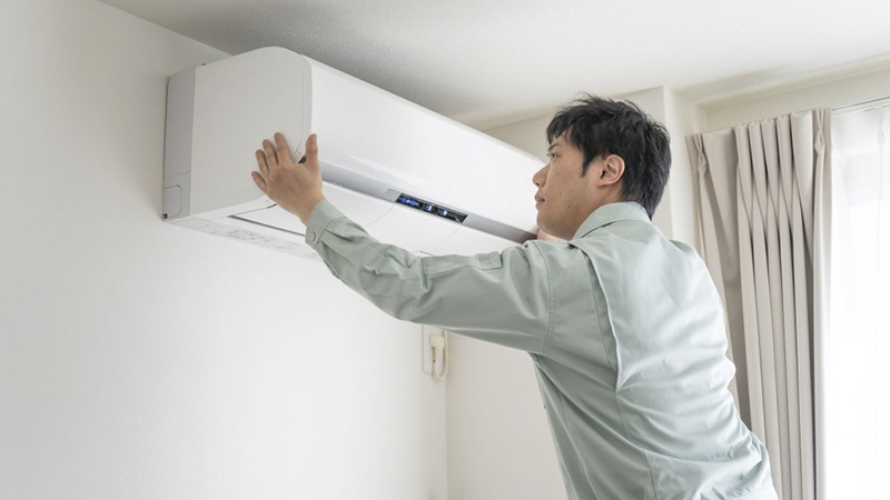 sinh-vat-la-trong-dieu-hoa-1