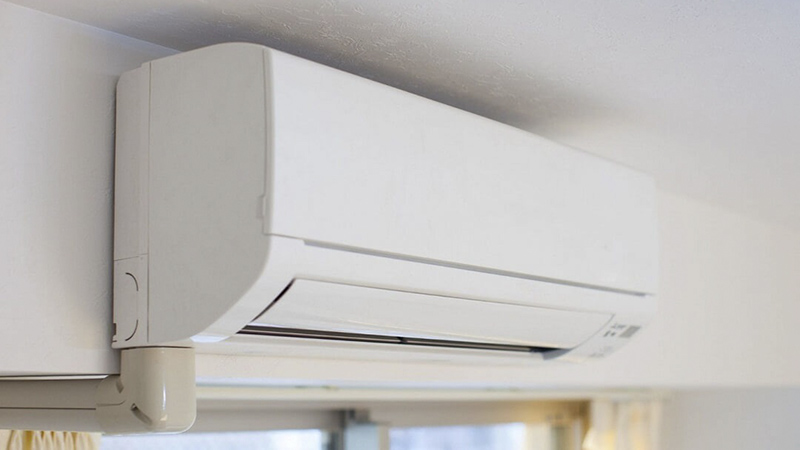 sinh-vat-la-trong-dieu-hoa-3