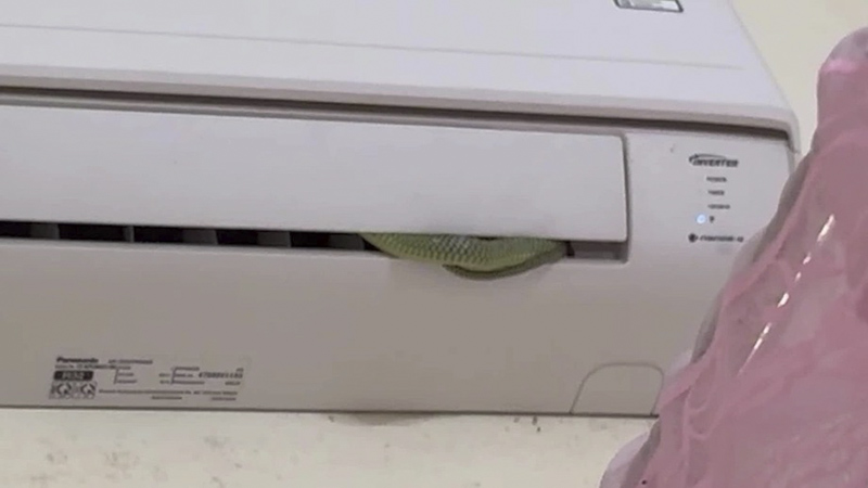 sinh-vat-la-trong-dieu-hoa-4