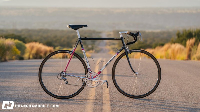 co-nen-mua-xe-dap-dua-mot-so-luu-y-khi-chon-mua-va-su-dung-7