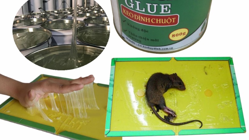 Keo-dinh-chuot-2