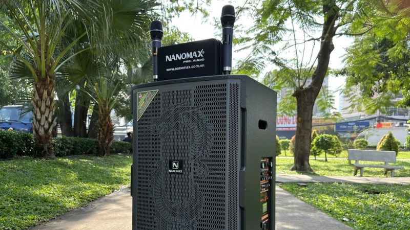 Nanomax-2