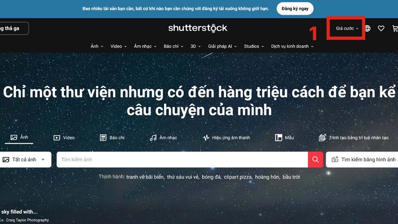 bang-gia-shutterstock-5